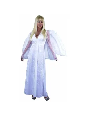 Adult Long Angel Dress Costume