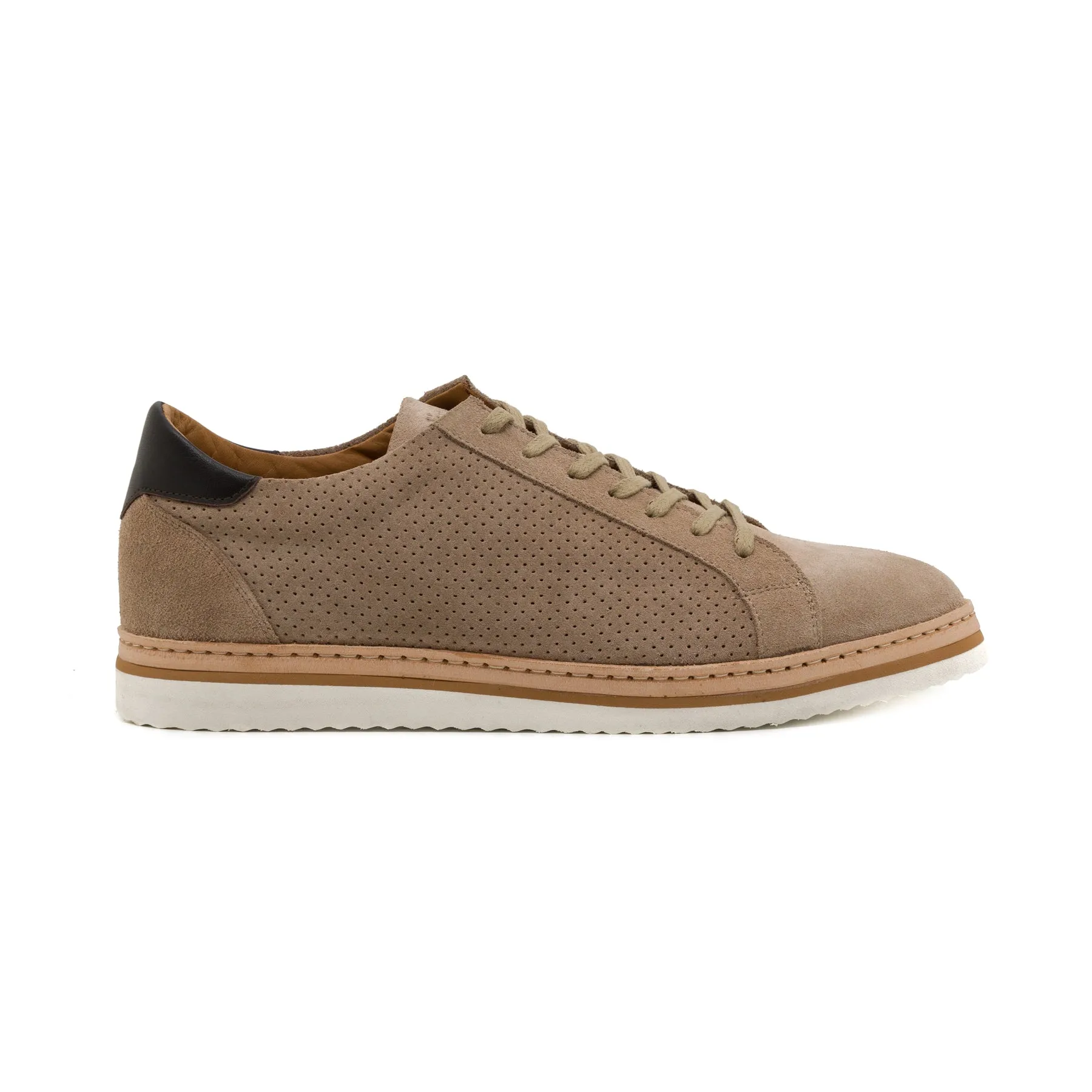 Jota Suede Sucgero Sneaker