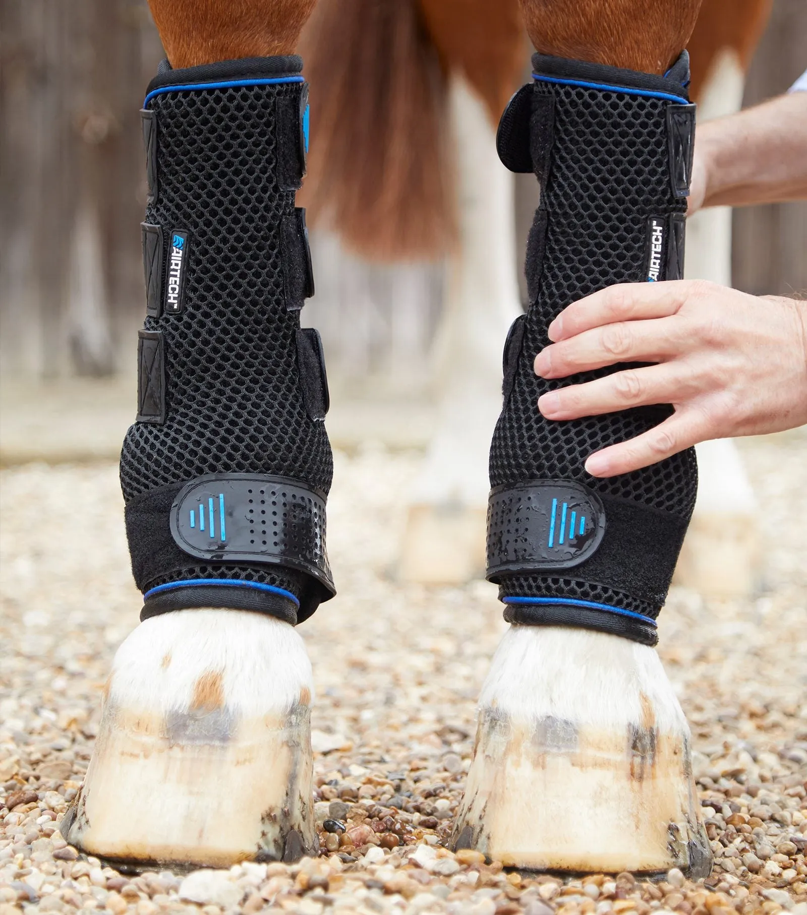 Premier Equine Cold Water Compression Boots