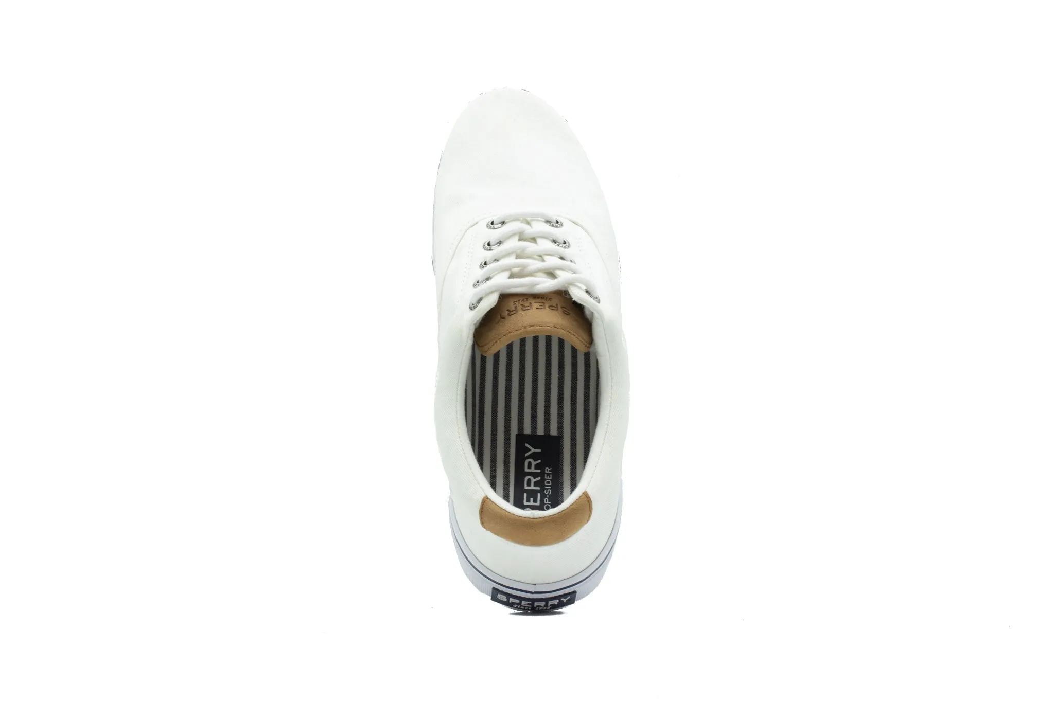 Sperry Striper II CVO Sneaker